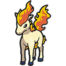 Ponyta