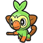 grookey