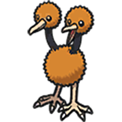 Doduo
