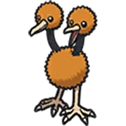 doduo