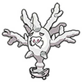 cursola