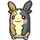 Morpeko