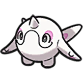 Cetoddle
