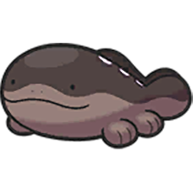 Clodsire