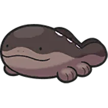 Clodsire